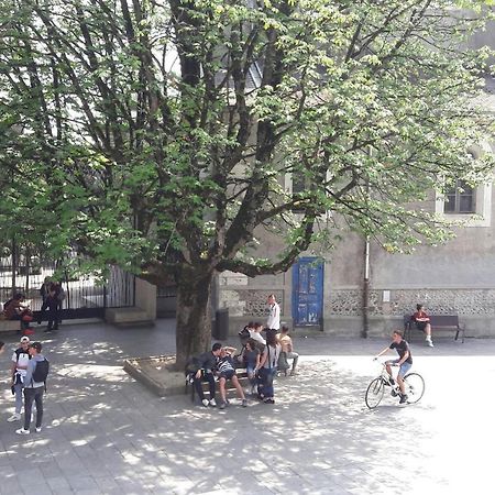 Un Appartement Lumineux Au Parc Beaumont Pau Luaran gambar